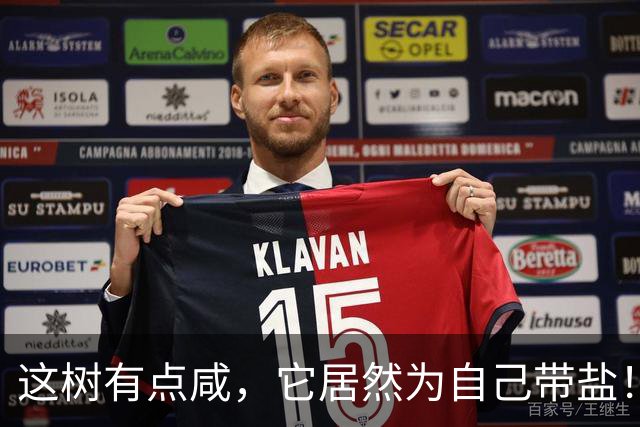 这树有点咸，它居然为自己带盐！古人没盐了就找这种树救急！